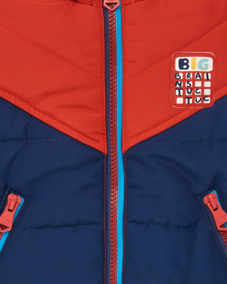 Doudoune garçon bleue et rouge à capuche collection Big Brains